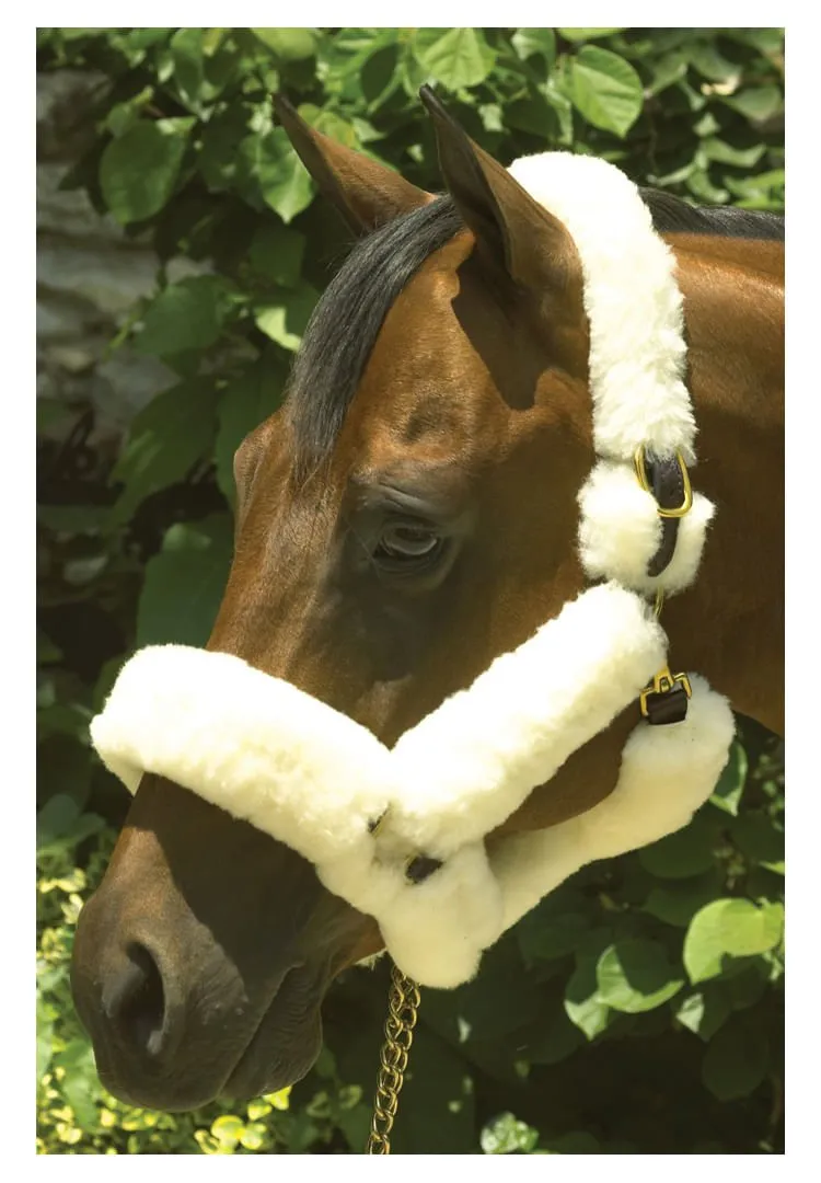 Perri's Genuine Sheepskin Shipping Halter, Havana/Natural