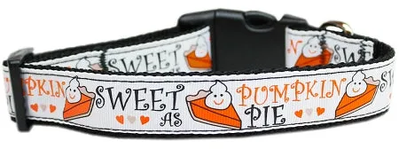 Pumpkin Pie Nylon Dog Collar Xl