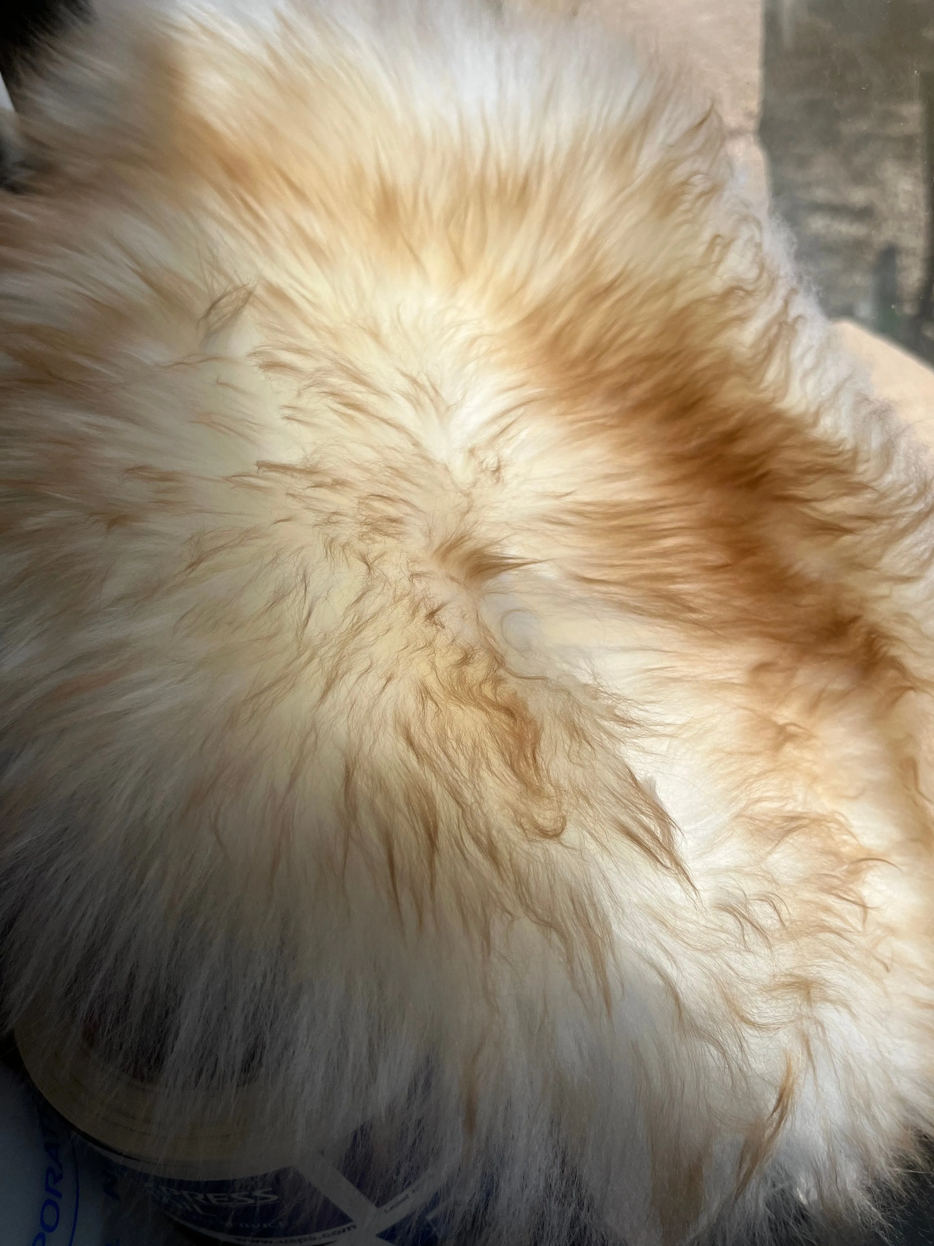 Russell Sport Sheepskin Buttpad™